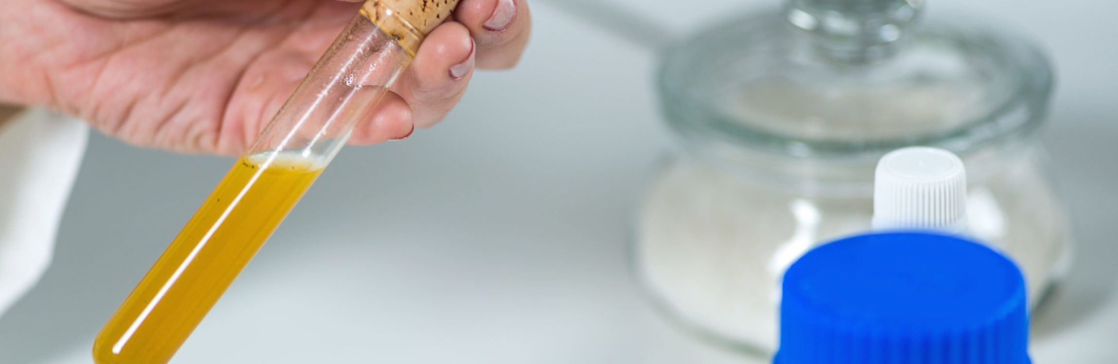 Homeopathy lab. Homeopathy lab. Homeopath preparing alternative herbal medicines.